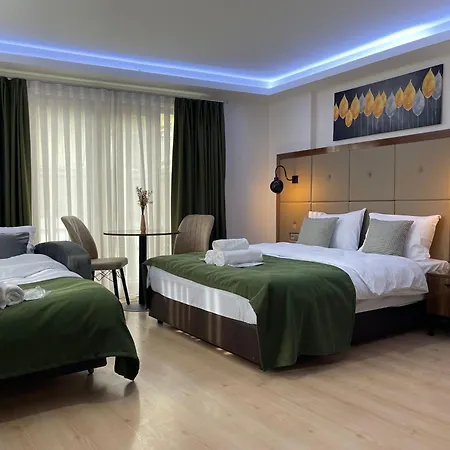 公寓式酒店 Elegance 伊斯坦布尔